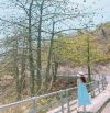 Cho thuê 3.000m2 Hải Đăng View núi Vũng Tàu