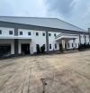 Nhà xưởng cho thuê đa diện tích kế KCN Châu Đức, KCN Đất Đỏ, 2000m2, 2800m2, 3650m2, 5000m