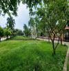 ? CHO THUÊ 5000M2 ĐẤT P.12 - CHO THUÊ DIỆN TÍCH LINH HOẠT CHỈ 30K/M2 - CÓ THỂ XÂY XƯỞNG?
