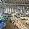 Cho thuê nhà xưởng kế KCN Vsip 1, KCN Việt Hương, 4 xưởng, 2050m2, 2850m2, 3687m2, 4500m2