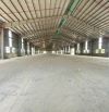 ? CHO THUÊ NHÀ XƯỞNG ĐỘC LẬP KCN NHƠN HOÀ 13.000m2